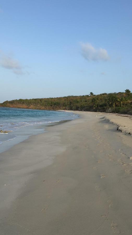 Naniqui Cottage - Only Adults -Parking Golf Car Only Isla Culebra Exterior foto